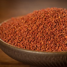 楮实子中药材楮实米诸实子粉构树籽构树果新鲜色选无杂无硫熏包邮