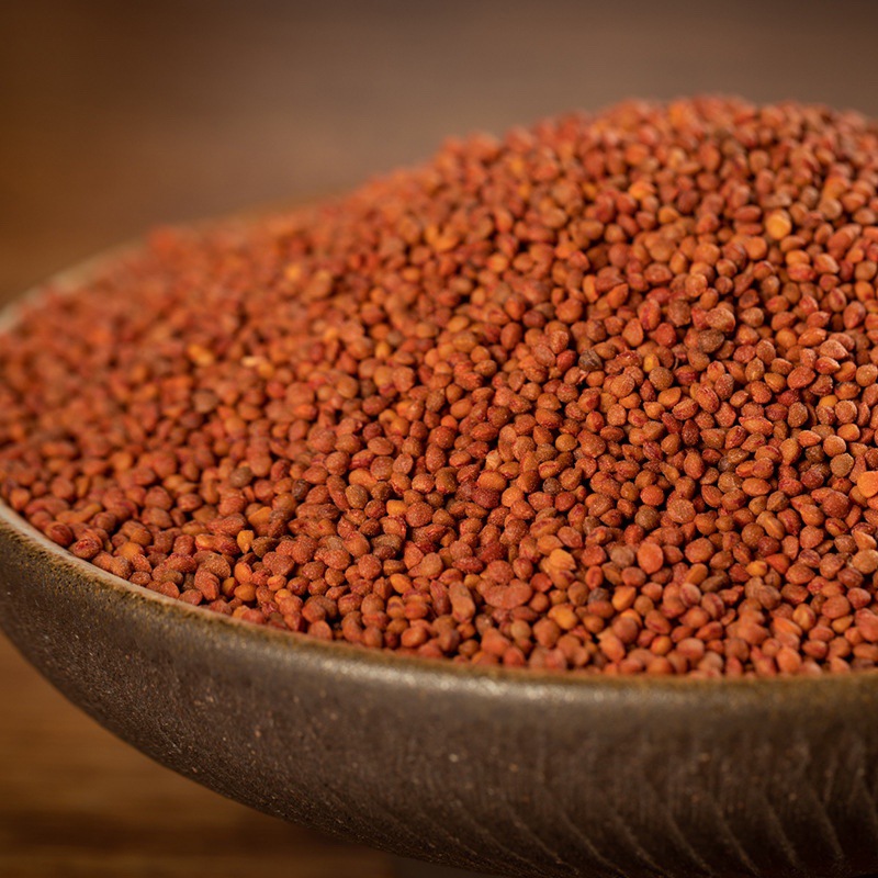 楮实子中药材楮实米诸实子粉构树籽构树果新鲜色选无杂无硫熏包邮