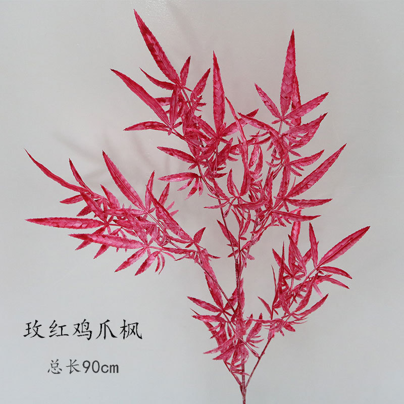 Rosa Rojo pollo pies Arce