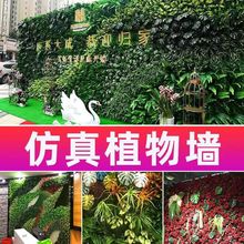 �Gֲ������ֲ���Ƥ�b��҃ȱ���������Gɫ�ڒ����ϼٲ�ƺ�T�^