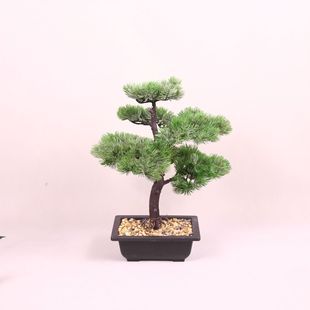 �羳�辰�[���٘����Դ�ӭ���ɷ����ɘ����ϼٻ�����ֲ���҃��b�