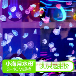�^�p���wˮĸ�����lˮĸ�^�p�[�ؔ�����10ˮĸˮĸ03cmֻ2С����
