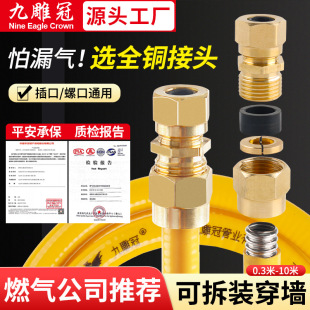 Removable natural gas stainless steel bellows gas hose gas stove special bellows copper joint gas pipe