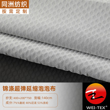 77雪服（延缩泡泡布）锦涤超弹 ePTFE膜面料 户外滑雪服保暖布料