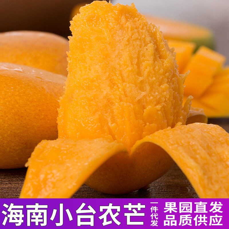 Hainan Small farmer Mango fresh pregnant woman fruit Mount Royal Green Mango One piece On behalf of