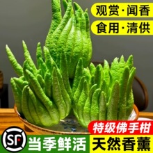 ���ָ��r�����r���ֹ��Ў�֦�҃Ȕ[���幩�^�p���ʳ�û������l