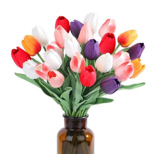 ֻ��pu���|��������滨�ٻ��羳���Q������c�Ҿ��b��S�����l