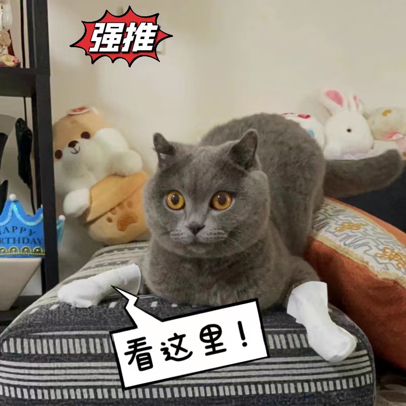 微信图片_20220909100941