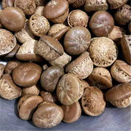 其他药食同源;其他滋补;藏红花