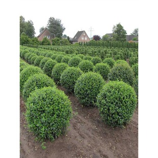 һ�����l���~Ůؑ������ֲ��С�~Ůؑ�������͘�ͥԺ�G��С�~Ůؑ