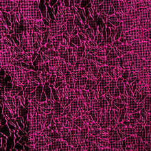 �½z�c�Ứ ���w��ֲ�ﻨ��ɫ���Ứ���� �U�Еr�b���� ���S�F��