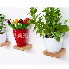 木质工艺品;衣钩/挂钩;收纳架