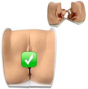 ���tŮ�ԃ�����ֳ������ģ�ͱ����ϭhָ��Ӗ��ģ��Ӌ�����̌Wչʾ
