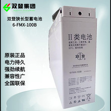 圣阳蓄电池狭长型12V100AH储能电瓶FTA12-100B太阳能UPS房车包邮