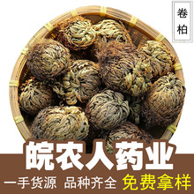 卷柏500克九死还魂草不死草还阳草长生草中药材大全代发批发