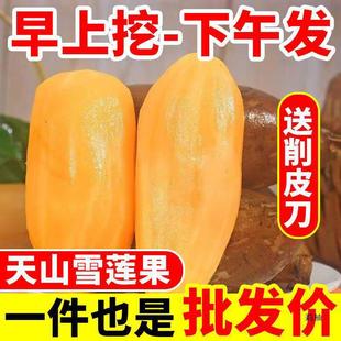 �����ɽѩɏ�����r�F�ڮ����ЋDˮ���������l�S��10�����l