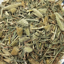 批发冷背中药材狗尾草中药材正品1000g克 狗尾巴 毛虫草 谷莠子