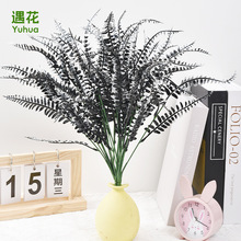 ���R�d�羳�ڰ�ɫ��˹�ݷ���ֲ�����첨˹�~�f�}����ֲ��ٻ��b�