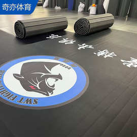 跆拳道垫子格斗搏击卷垫武术散打摔跤无缝XPE运动地垫拳击卷垫