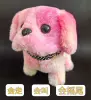 Color pink dog