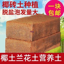 椰粉椰砖椰糠椰土兰花土营养土无土栽培宠物垫材种菜种花脱盐泥土