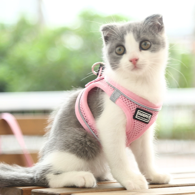 Поводок для кошек Жилет с защитой от взлома Нагрудные летние принадлежности Go Out Милый поводок для кошек Поводок для собак