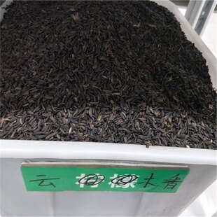 ���|�ľ��N�� ľ��N�� �·N�ѸɃ�M����� �߳�ѿ��