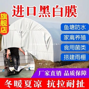 Imported Black and White Film Thickeneded Breeding Greenhouse Black and White Film Reflective Insulation Film Sunscreen Plastic Cloth Edible Fungus Green and White Film