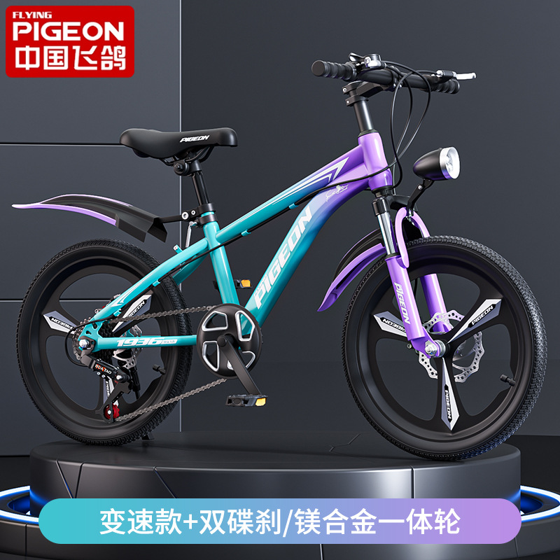 Gradient purple + variable speed integrated wheel + shock absorption + gift package
