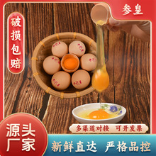 新鲜广西土鸡蛋20枚盒装食用鸡蛋包邮整箱批发一件代发土鸡蛋厂家