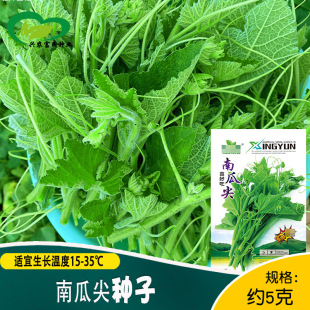 �Ϲϼ�N�� �r��˵��̨�����ļ��߲��Ϲϼ��ѷNֲ���ηN��