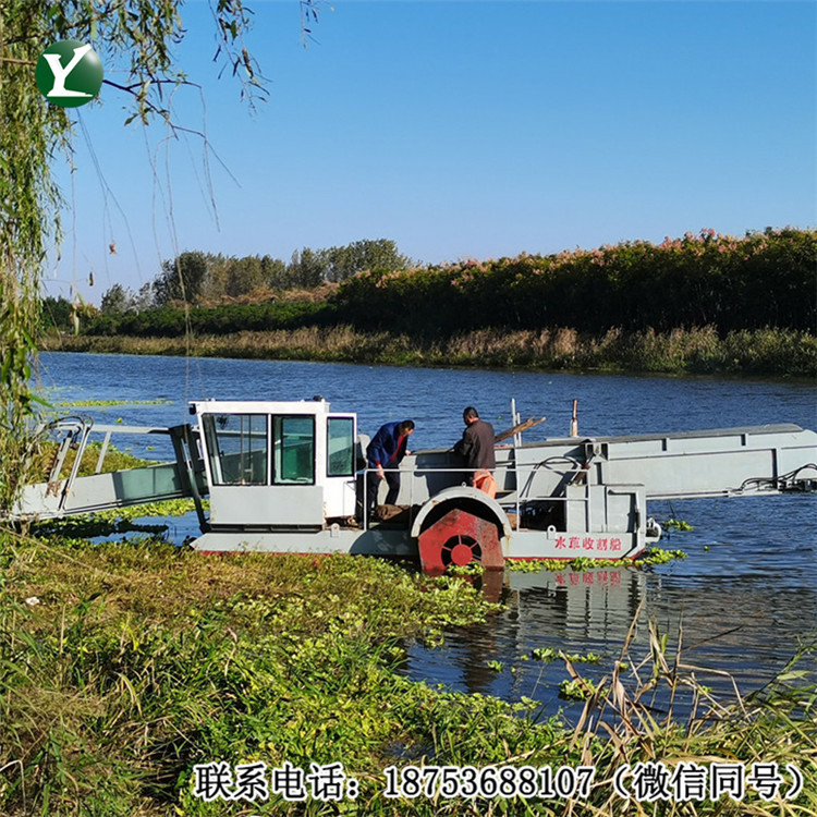 水中水草垃圾打捞船 水花生水草收割割草船 河道水面除草机械供应