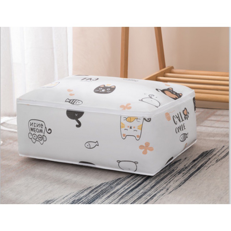 재미있는 고양이