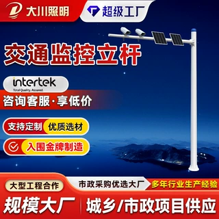交通监控立杆八角电子警察杆城市道路抓拍摄像机立柱监控立杆