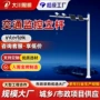 交通城市电子监控立杆