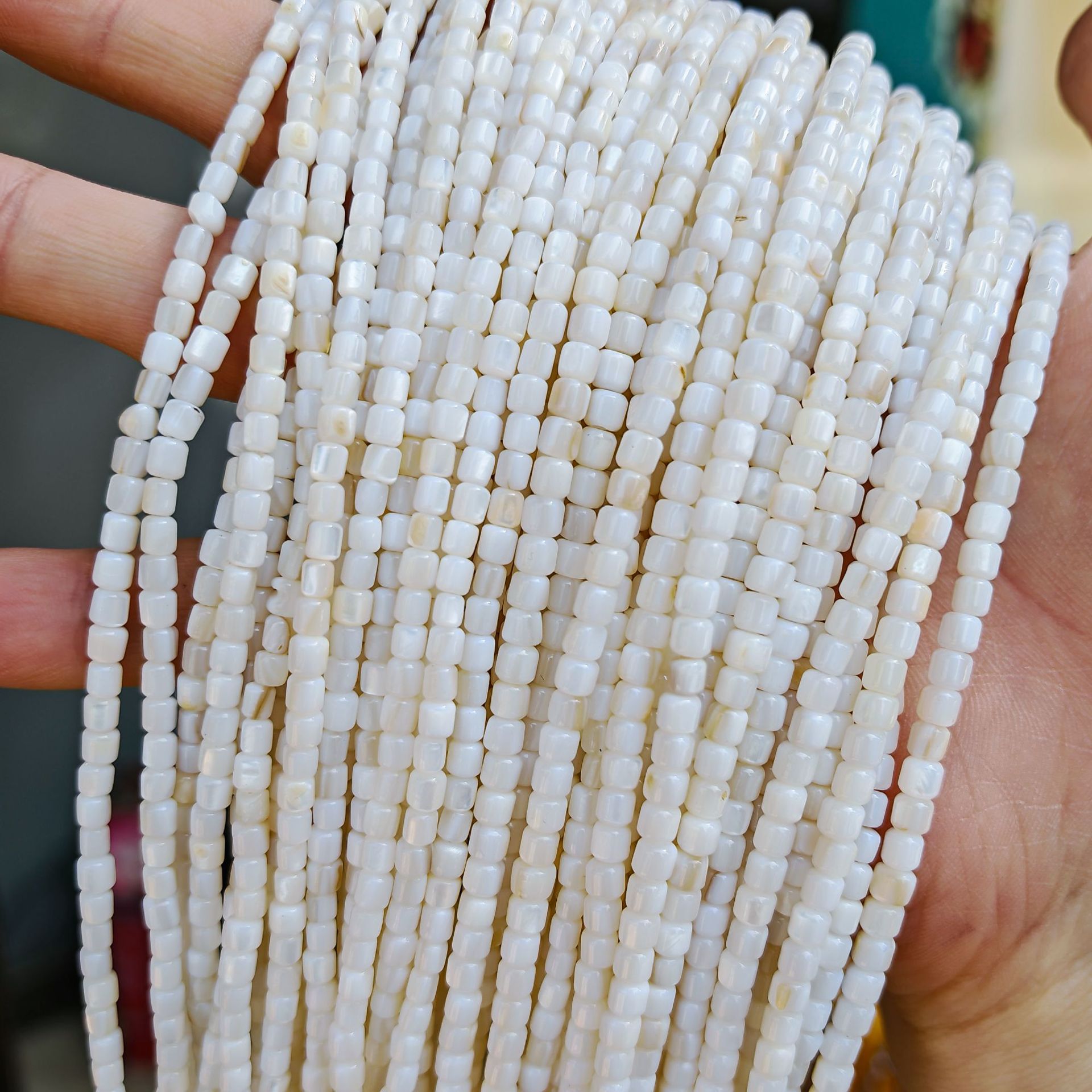 Concha de agua dulce: color natural