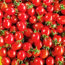 中大果好吃山东千禧果小番茄新鲜水果圣女果农家西红柿直发一整箱
