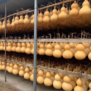 ��Ȼ�Ϻ��JƤ�����J�����Jư������Ӻ��J��ȿʳ����Ȼ���Jȿ��