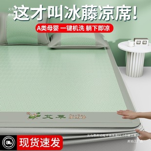 Mugwort Cooling Mattress Pad Summer Soft Mat Simmons Mattress Protector Cover 2025 Summer New Ice Silk Bed Sheet