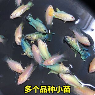 �Ї����~�ղ�Ұ���~��β�^�p�~ԭ���~��ˮ���w���ֽ����_