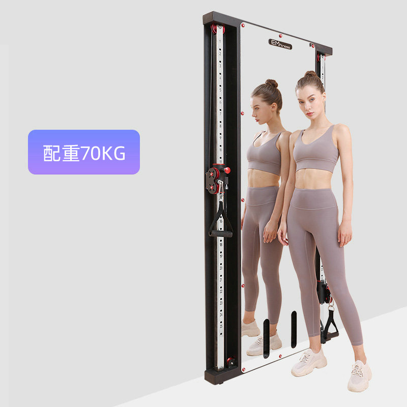 Pórtico de pájaros montado en la pared espejo de pared de un solo lado montado en la pared para el hogar pequeño pájaro poder entrenador integral