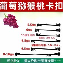 ѽ֦Jҽ֦{ݮј֦l̶ϒh