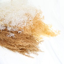 ����M���Ǹɻ����ò�DIY���ϴ�޼���m���ﻨ���Bɳ�P�龰ģ��