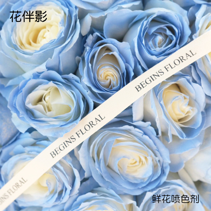 Xingle Flower Spitter Flower Self -spray Self -spraying Paint Dry…