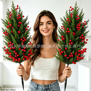 �羳����{���ɘ九���b����ɰ�С��ͥԺ�k���ҷՇ�����Gֲ�[