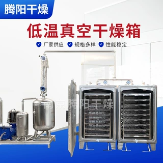 厂家定制低温真空干燥箱医药化工水果蔬菜蒸汽加热大型真空烘箱