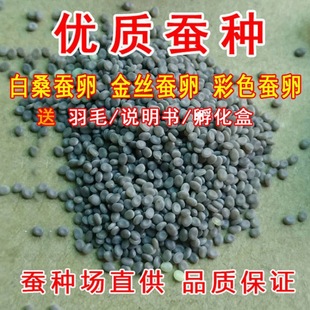 �Q���°��Q�Q�N�Q�Ӳ�ɫ�Q�����Q�W���̌W�Q�N�Q�O���rɣ�~