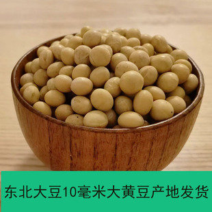 ��ӯ�S���¼Z�F؛�a�ؖ|���S�����D����10���״��S��100������