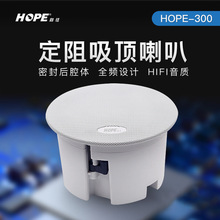 HOPE/����300�����������Ŷ���ͬ�S���ȵ���������b����