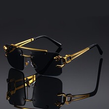V 38966 Double Beam Leopard Print Sunglasses ����ͷ̫����